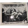 Image 2 : Vintage German porn and assorted videos including lobby cards
