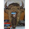 Image 2 : Buffalo head used in The Show Supernatural - 32" H