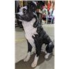 Image 2 : Porselin dog statue