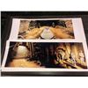 Image 2 : Stargate archive photographs