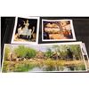 Image 2 : Stargate archive photographs