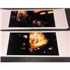 Image 3 : Stargate archive photographs