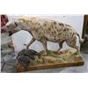 Image 1 : Full size hyena mount approx 5ft length x 3.5ft height