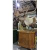 Image 1 : 2 Caribou shoulder mounts on a stand approx. 85"Height x 50" width (Grade A) - Cost $6000 just to mo
