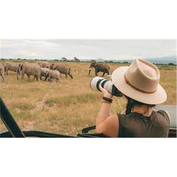 Photo Safari with Zeekoepan Safaris for 4 people