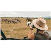 Image 1 : Photo Safari with Zeekoepan Safaris for 4 people