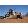 Image 2 : Namibian African Safari for 3 hunters for 6 days