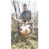 Image 4 : KANSAS WHITETAIL DEER BOW HUNT FOR ONE