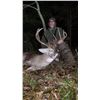 Image 6 : KANSAS WHITETAIL DEER BOW HUNT FOR ONE
