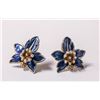 Image 1 : VINTAGE DARK BLUE FLORAL CLIP EARRINGS