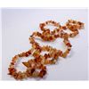 Image 1 : AMBER BEADED NECKLACE LONG STRAND