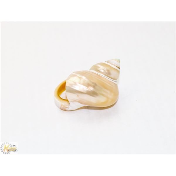 SNAIL SHELL RING