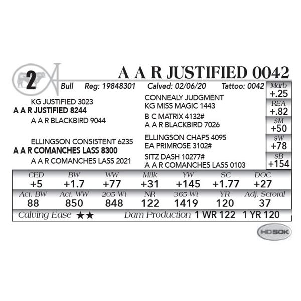 A A R Justified 0042