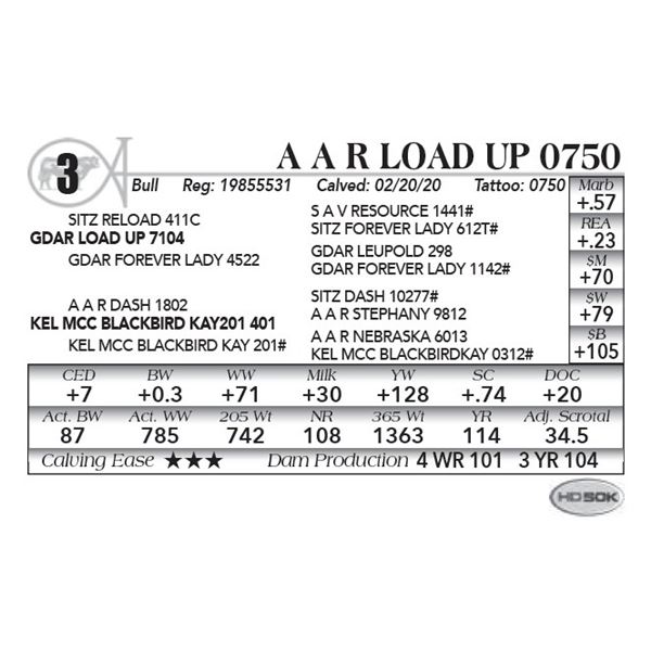 A A R Load Up 0750
