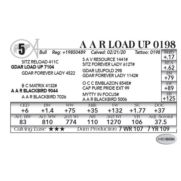 A A R Load Up 0198