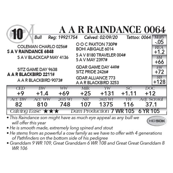 A A R Raindance 0064