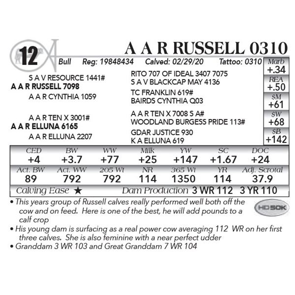 A A R Russell 0310