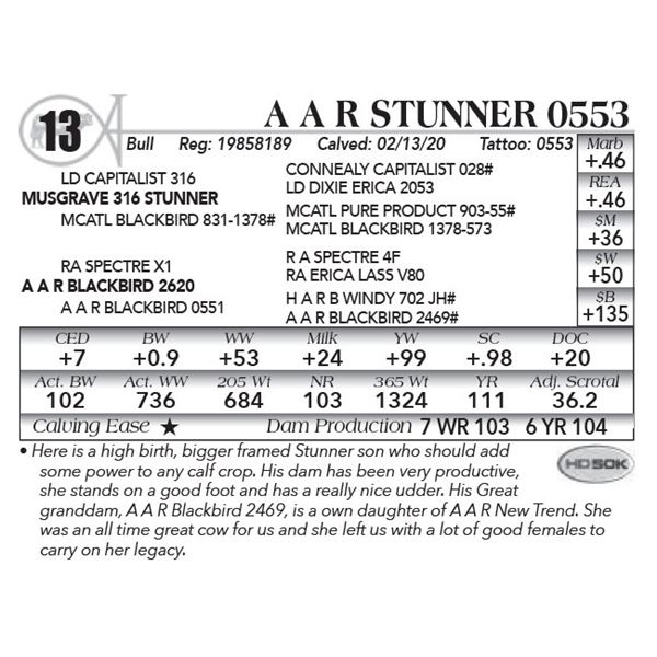 A A R Stunner 0553