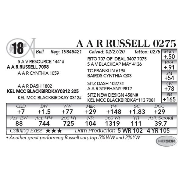 A A R Russell 0275