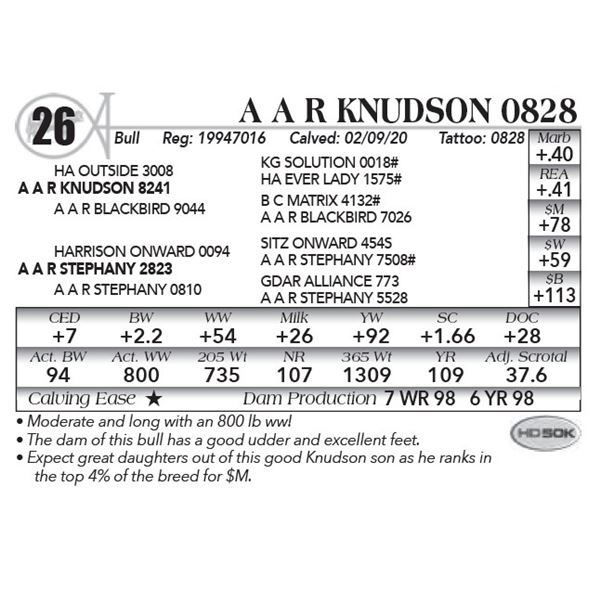 A A R Knudson 0828