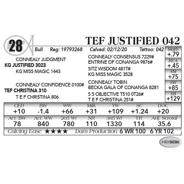 TEF Justified 042