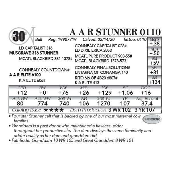 A A R Stunner 0110