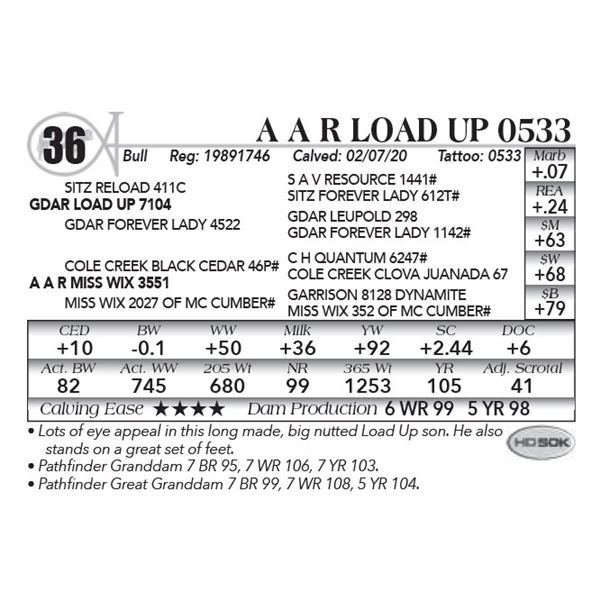 A A R Load Up 0533