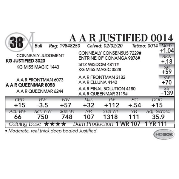 A A R Justified 0014