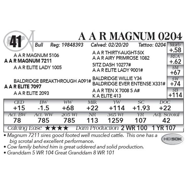 A A R Magnum 0204