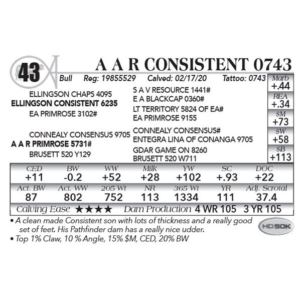 A A R Consistent 0743