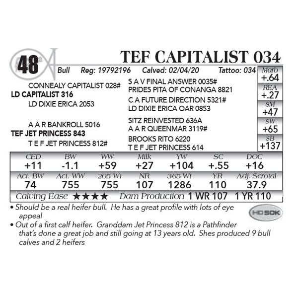 Tef Capitalist 034