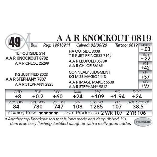 A A R Knockout 0819