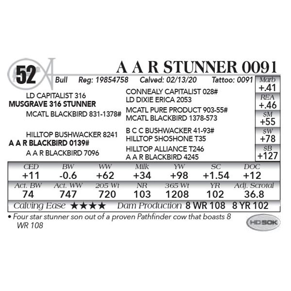 A A R Stunner 0091