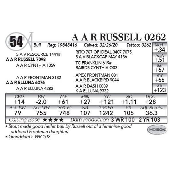 A A R Russell 0262