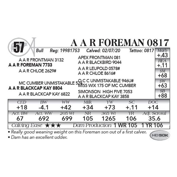 A A R Foreman 0817