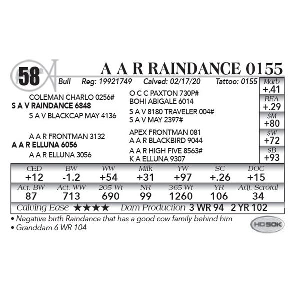A A R Raindance 0155