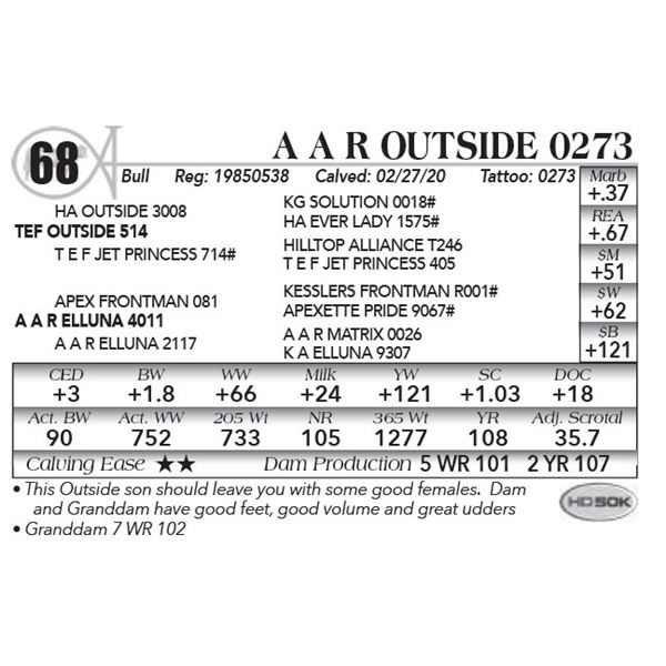 A A R Outside 0273