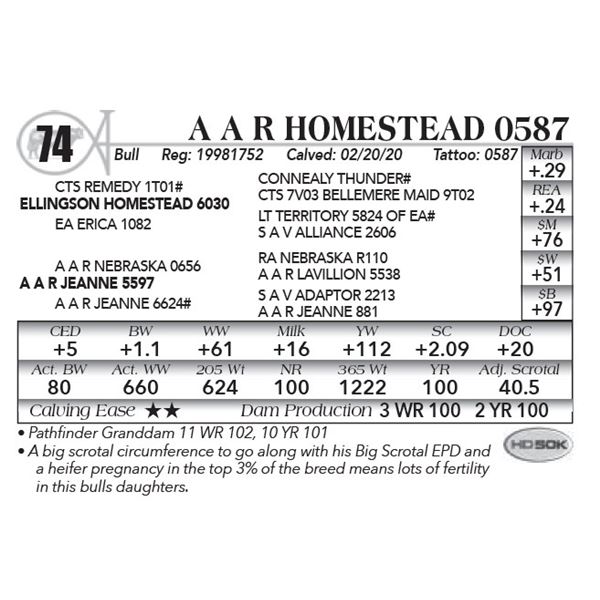 A A R Homestead 0587