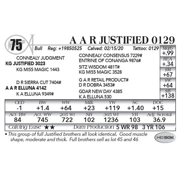 A A R Justified 0129