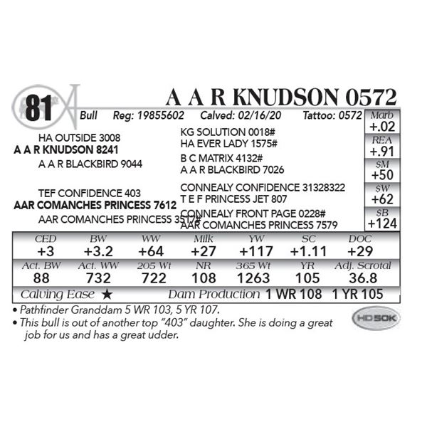 A A R Knudson 0572