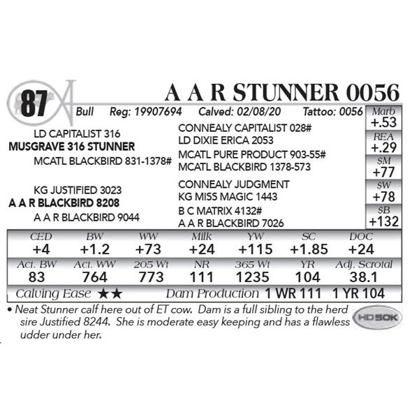 A A R Stunner 0056