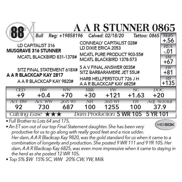 A A R Stunner 0865