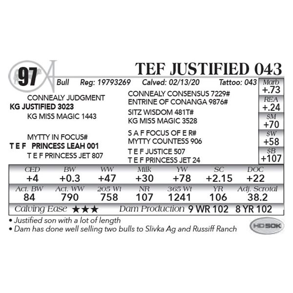 TEF Justified 043