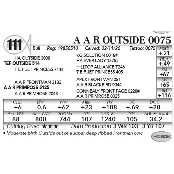 A A R Outside 0075