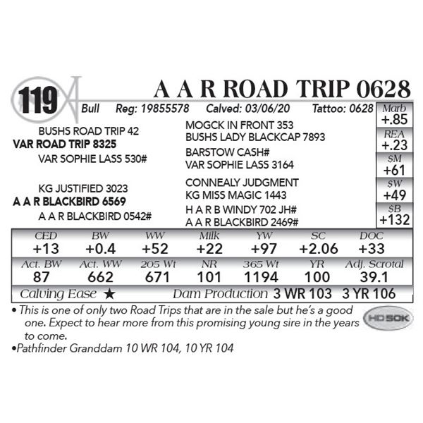 A A R Road Trip 0628