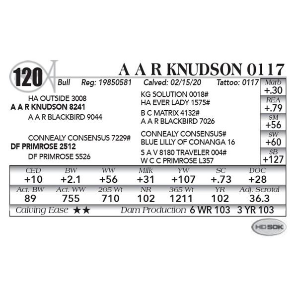 A A R Knudson 0117