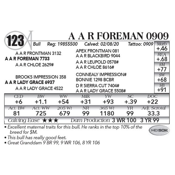 A A R Foreman 0909