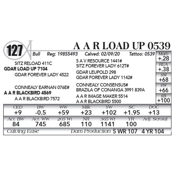A A R Load Up 0539