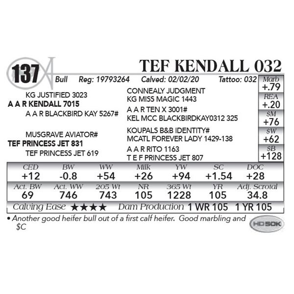 TEF Kendall 032