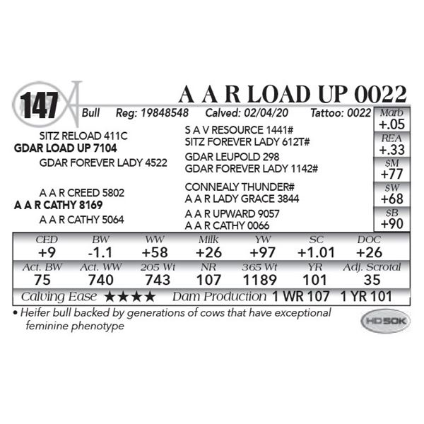 A A R Load Up 0022